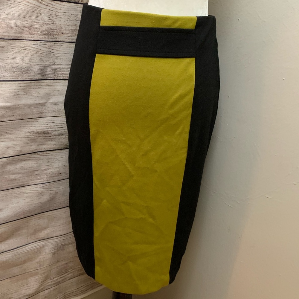 Chelsea & Theodore | Colour Block High Waist Skirt
